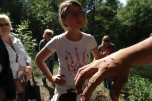 Междуреченский региональный ландшафтный парк, Отрохи